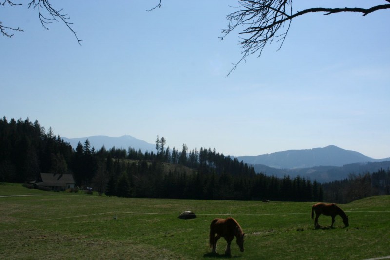 Rozhledna Panorama